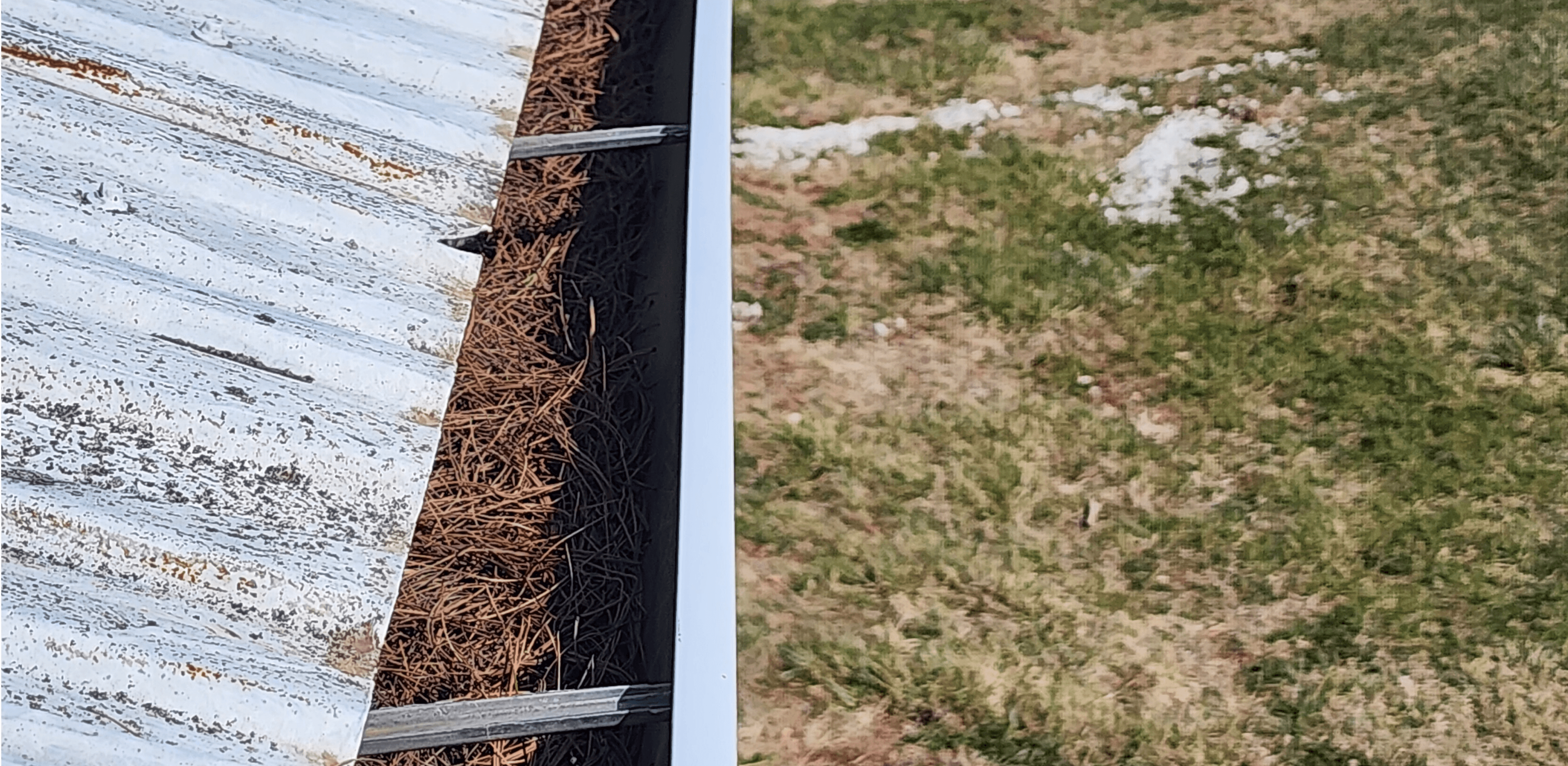 Seamless Gutter Revival - Before