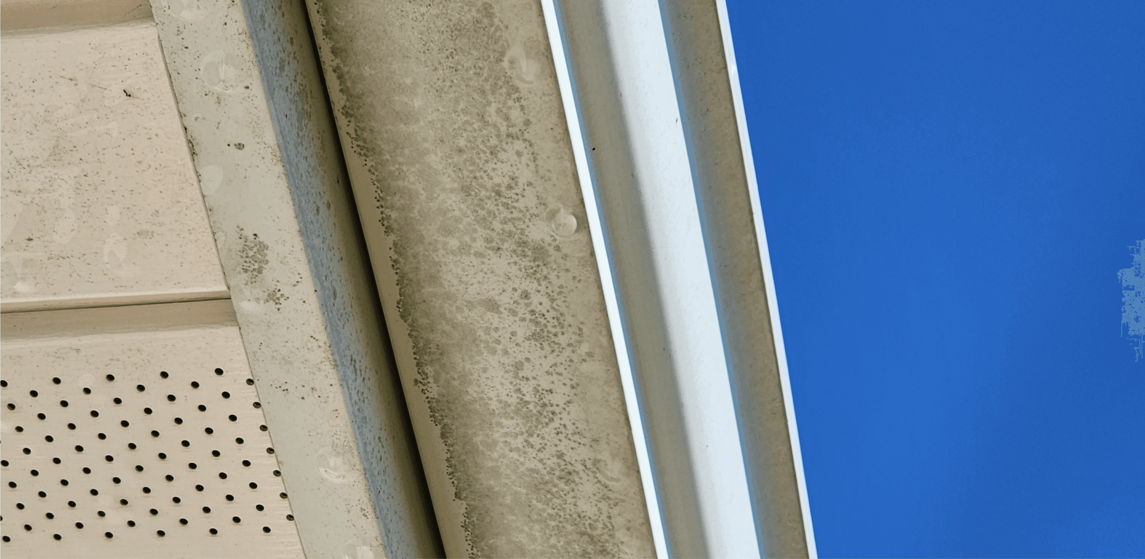 Gutter Face Restoration - Before