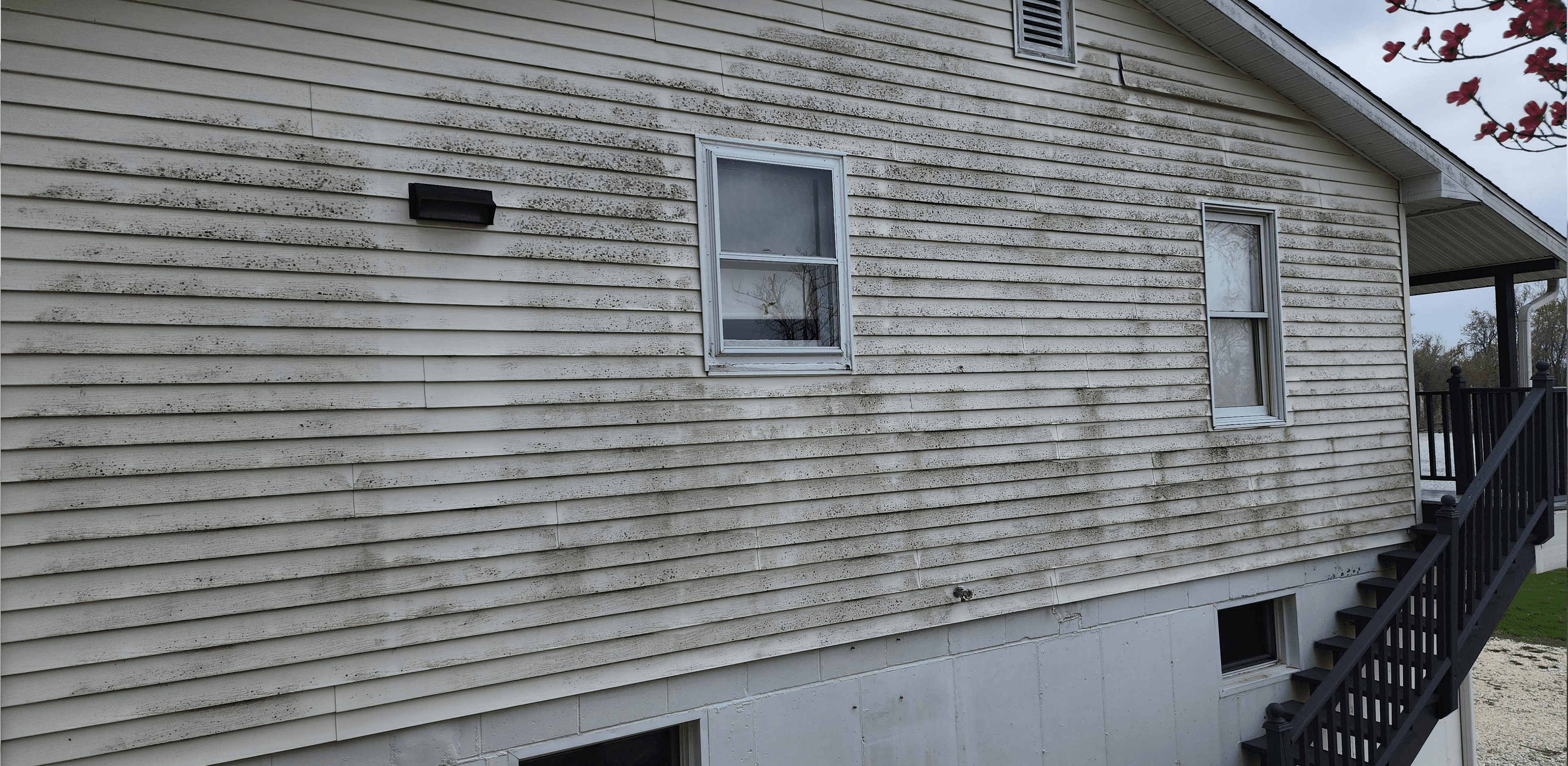 Home Siding Deep Clean - Before