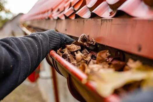 Gutter Cleaning